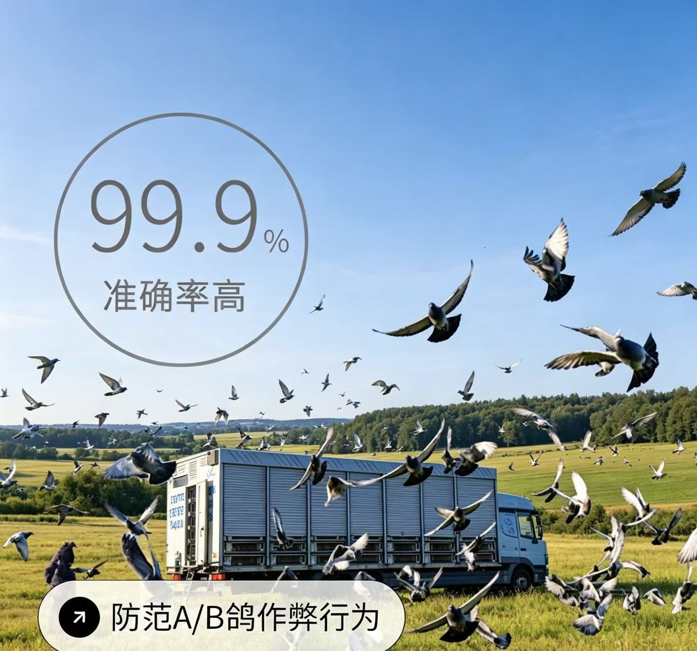 赛鸽DNA个体识别（AB鸽识别）