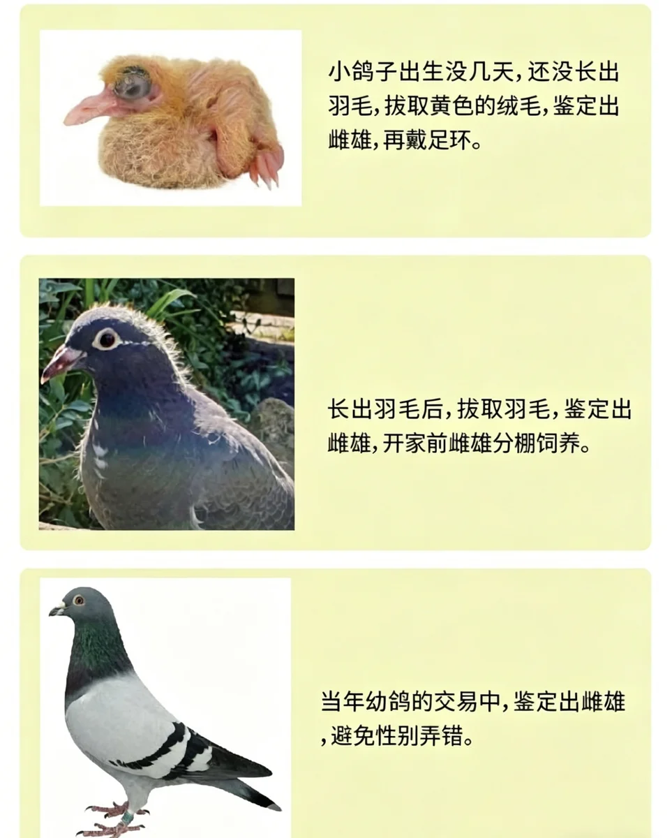 樣品提交